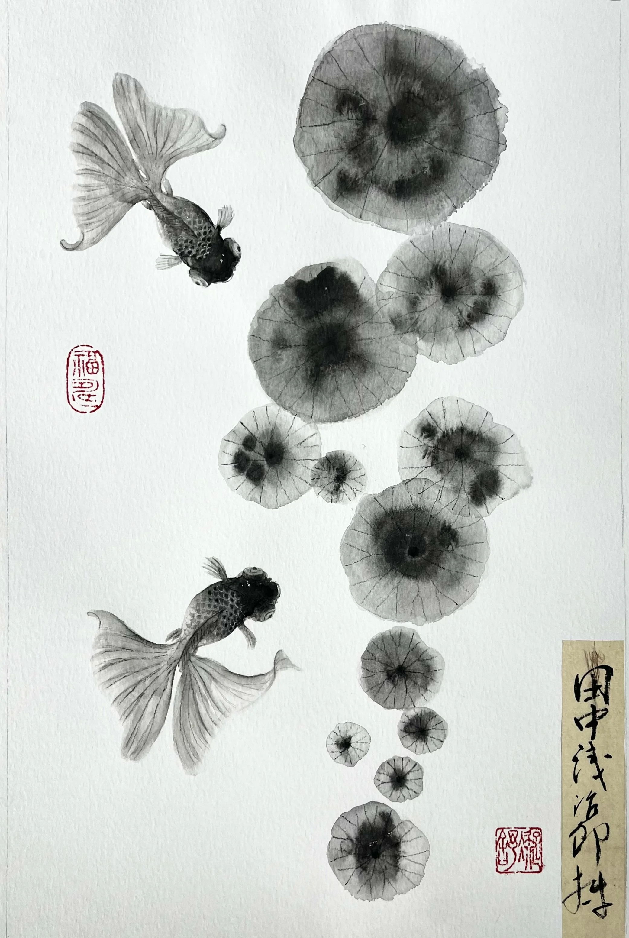 image1.jpeg