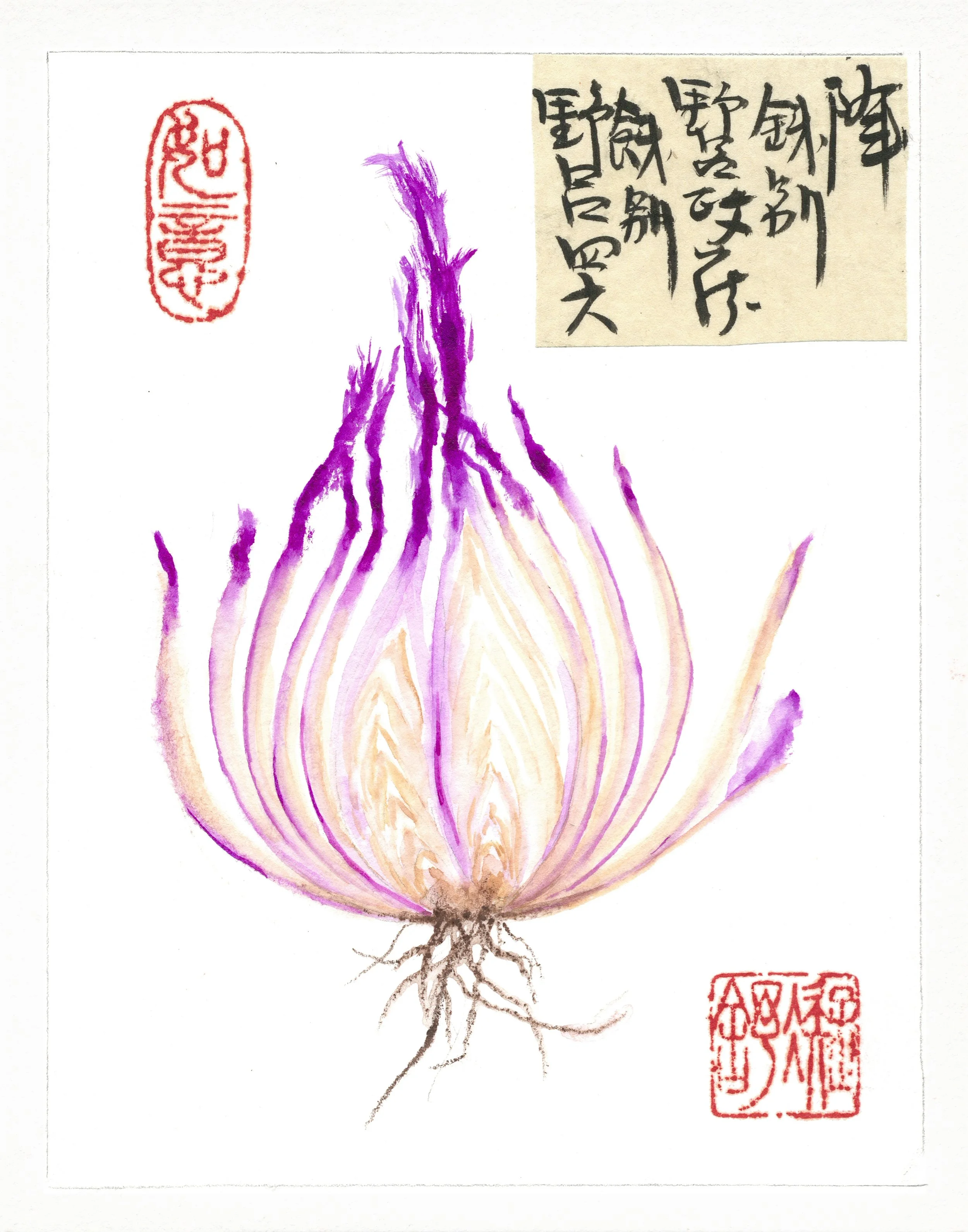 Asia America-Onion-Mini.jpg