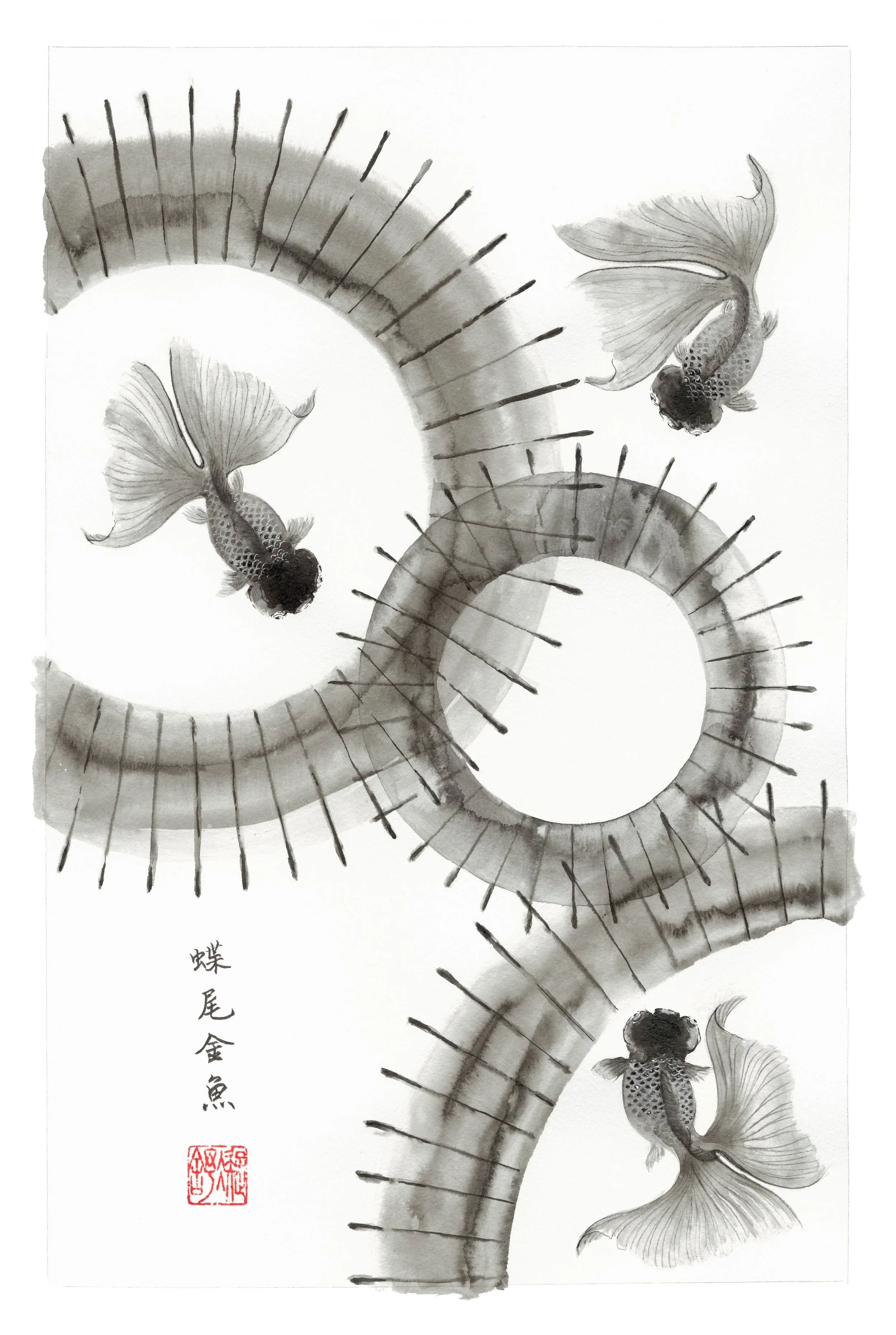 Asia America-BlackGoldfish.jpg