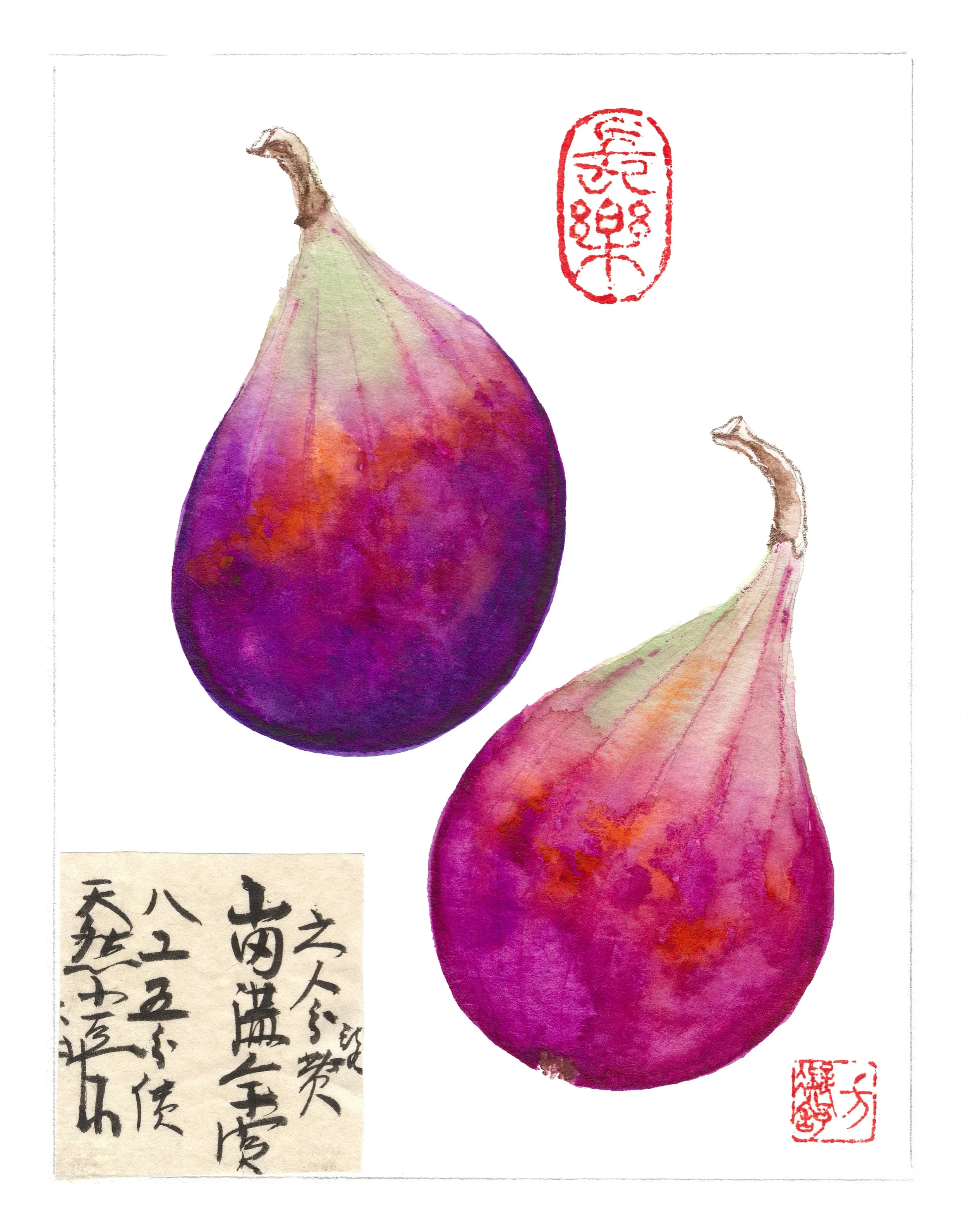 Asia America-Figs-Mini.jpg