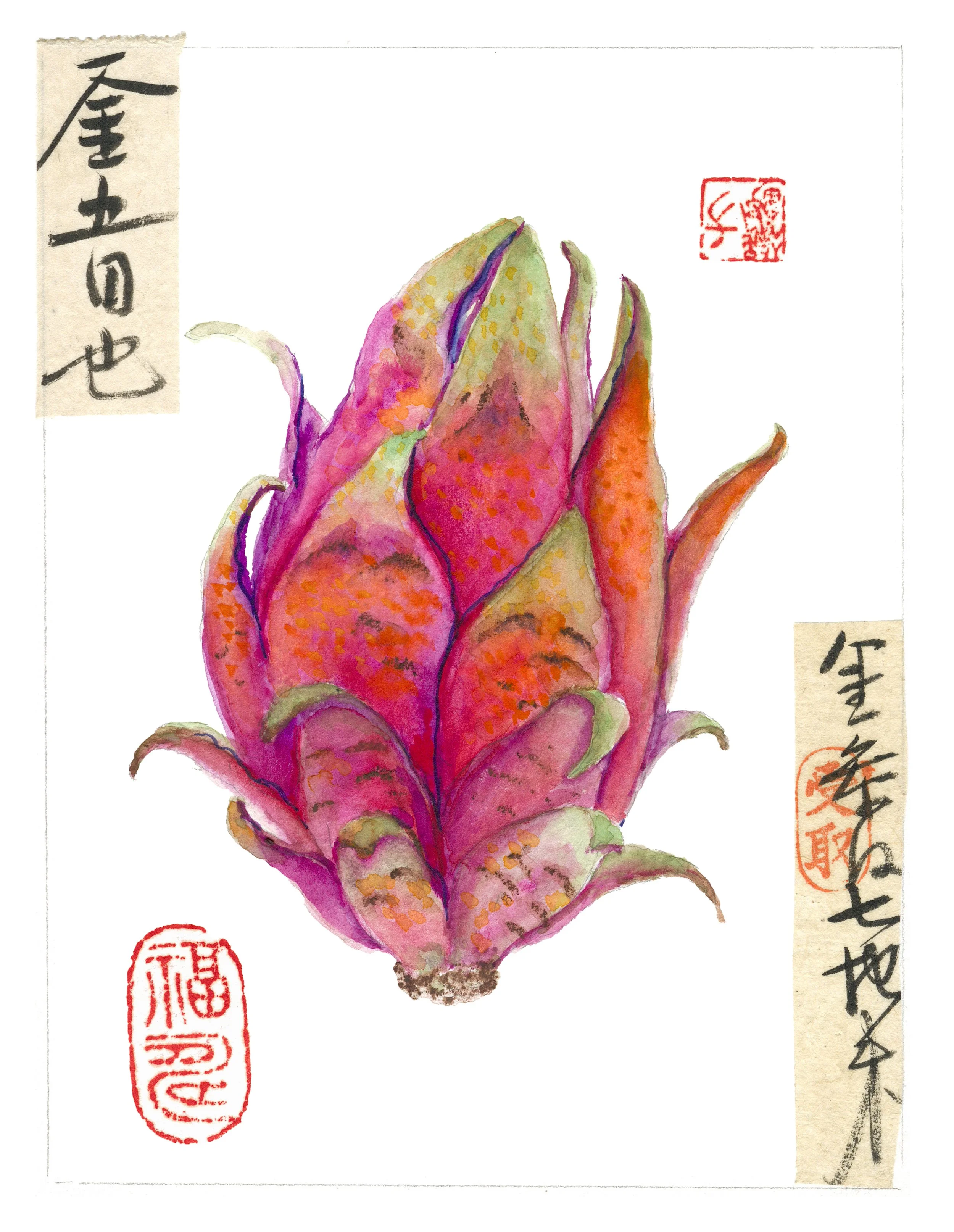 Asia America-DragonFruit-Mini.jpg