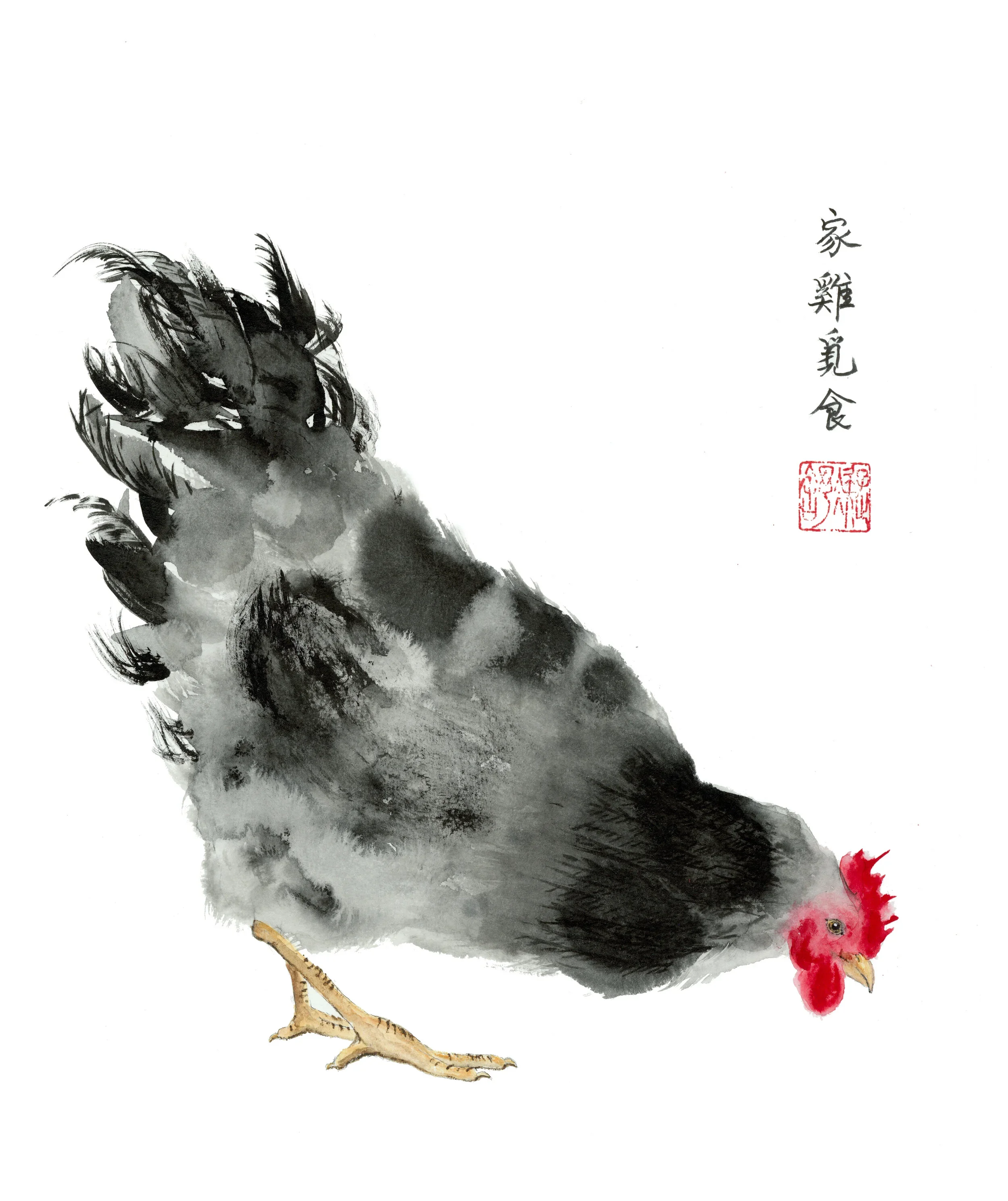 Pecking.webp