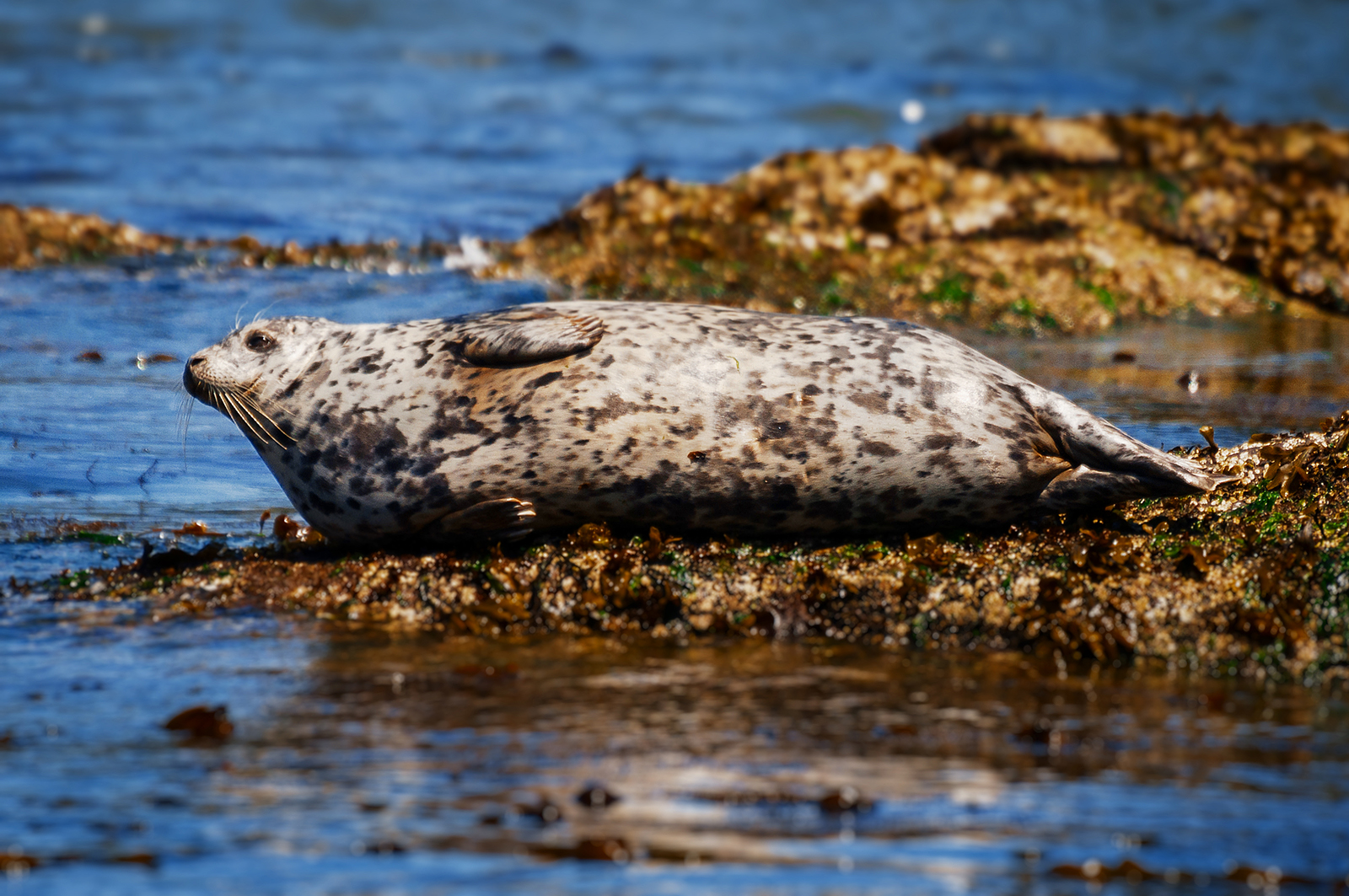DSC_8720_2.jpg