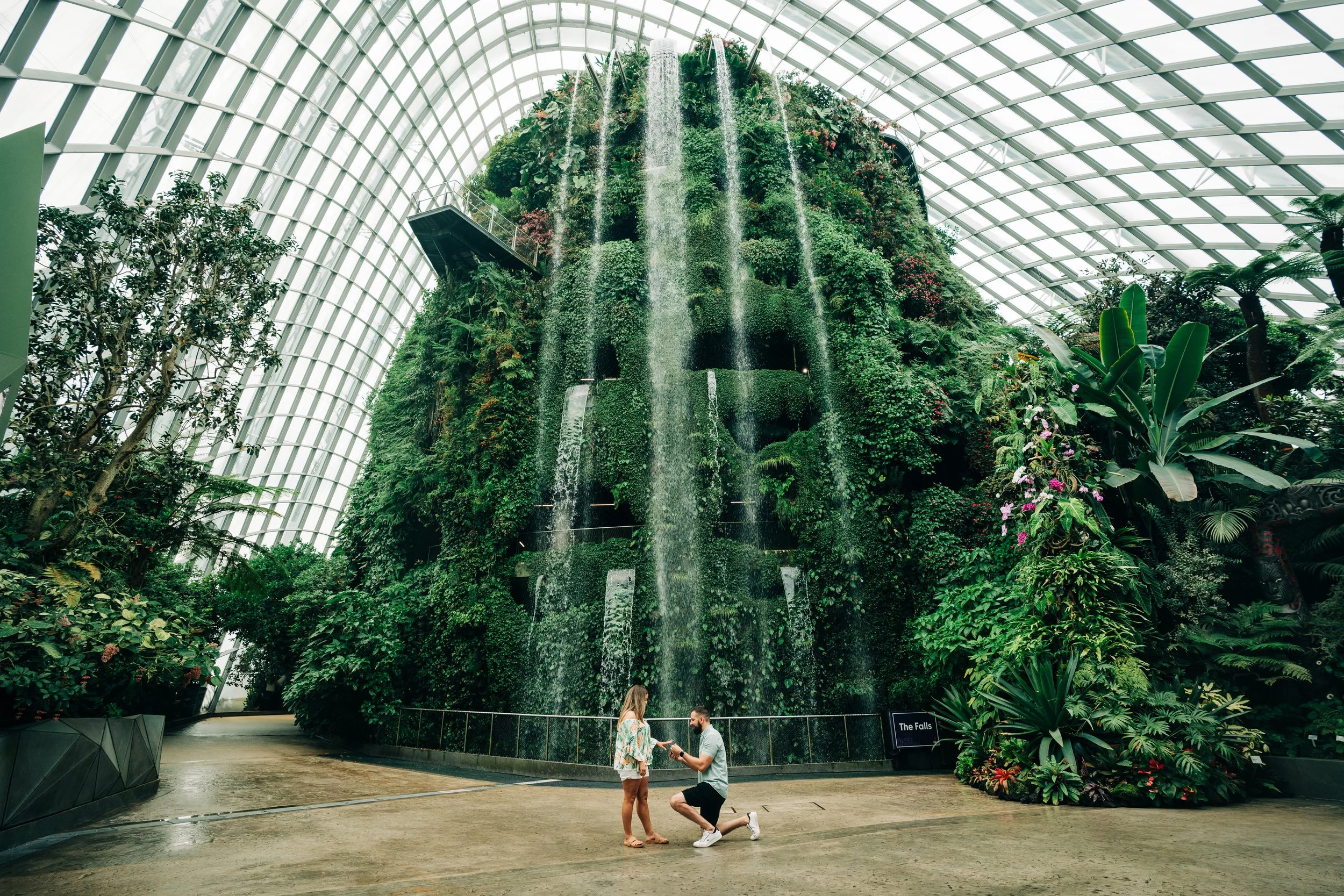 Proposal in Cloud Forest at Gardens By the Bay.
