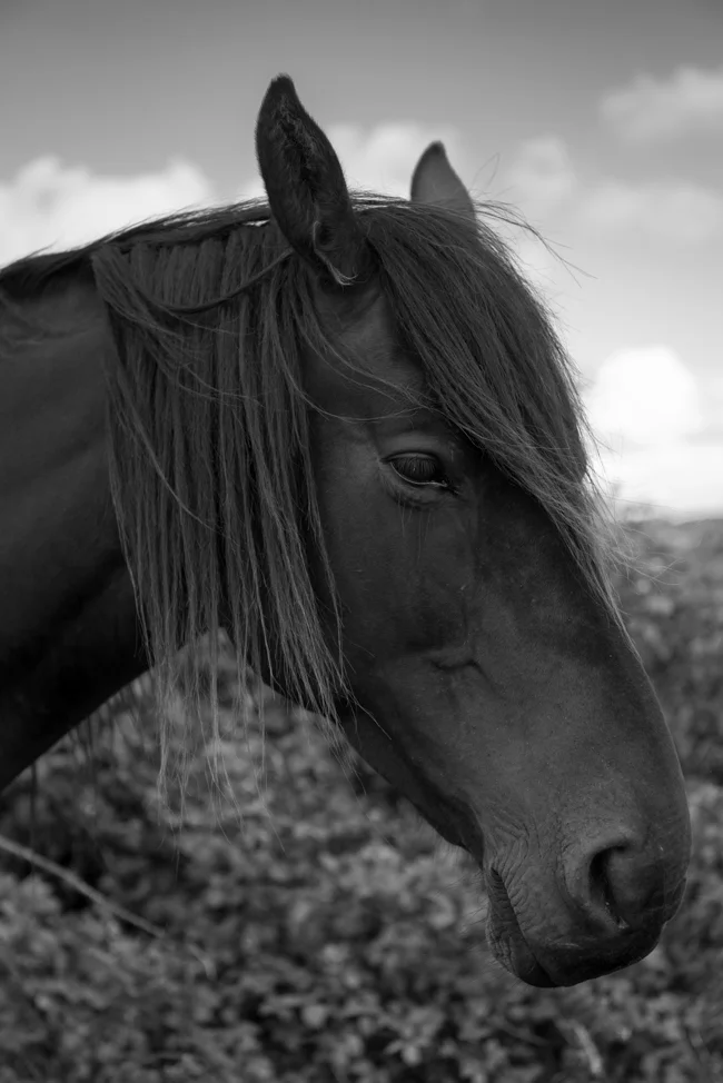 The Burren slow diaries.jpg