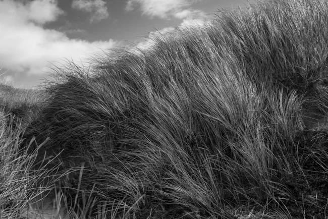 The Burren slow diaries.jpg