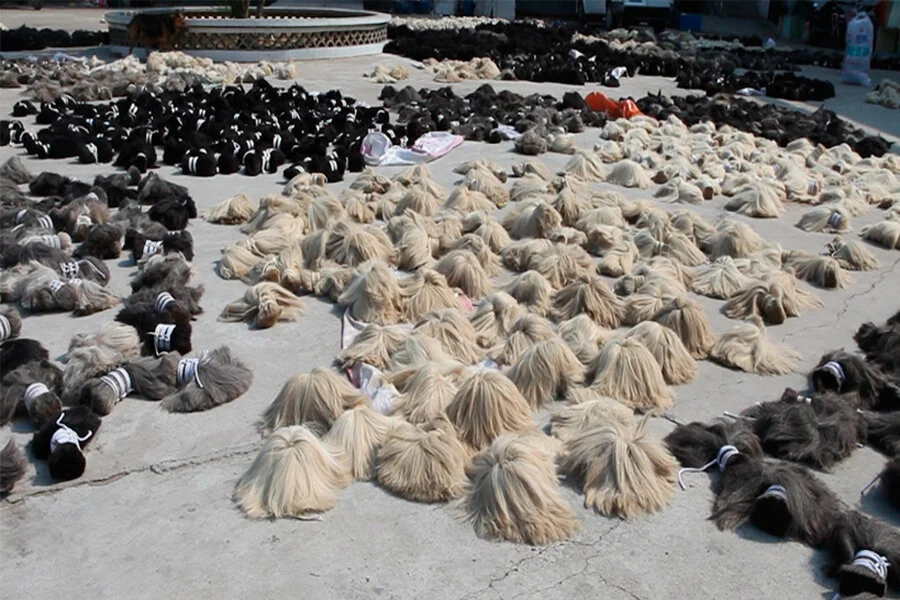 The Fall still_03.jpg