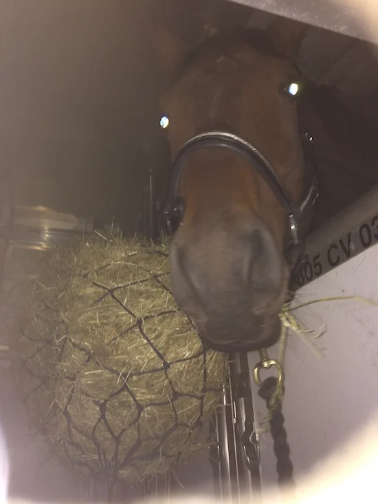 Hønnerup - klar til afrejse.JPG