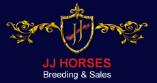 JJ-Horses-banner7.png