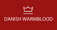 DV-Image-banner-UK.png