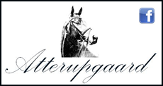 atterupgaard5.png