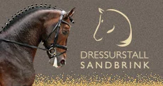 webbanner-sandbrink-230x122.jpg