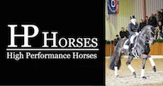 HP+Horses.jpg