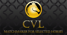 CVL-Horses.png