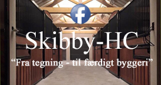 Skibby4b.png