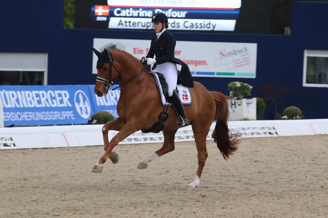 Cassidy Hagen 2017 - Koen Gomes.jpg