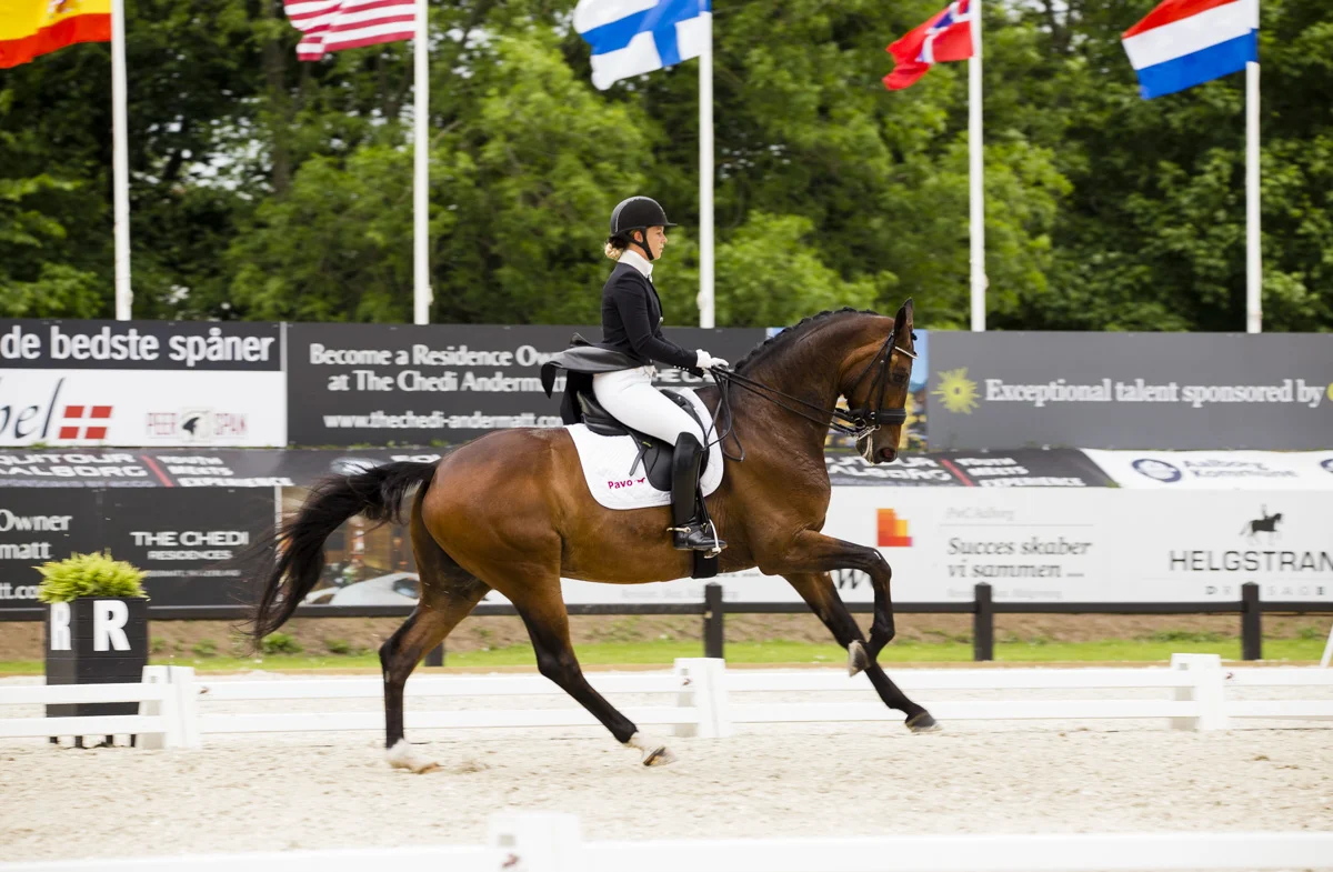 Anna Kasprzak/Rock Star - Photo H2R