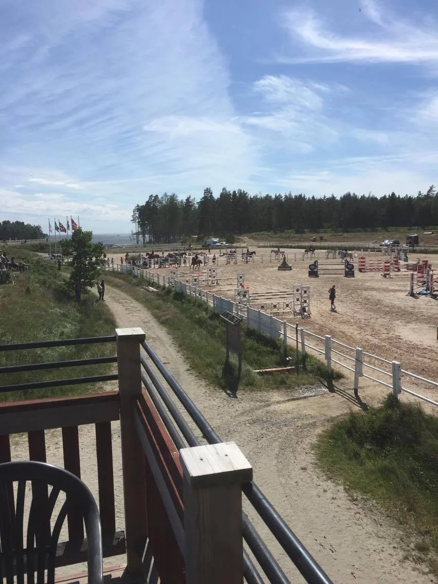 NM Hammarö 2017.jpg
