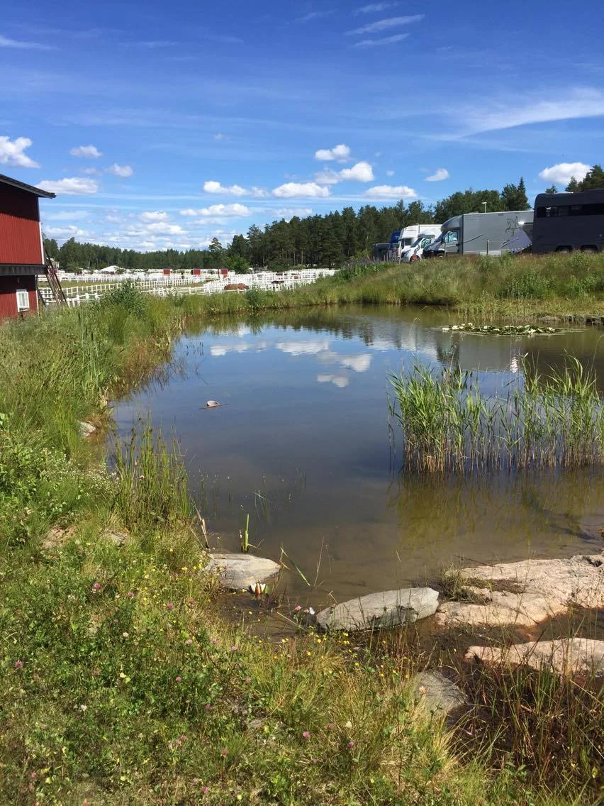 NM idyllisk kulisse.jpg