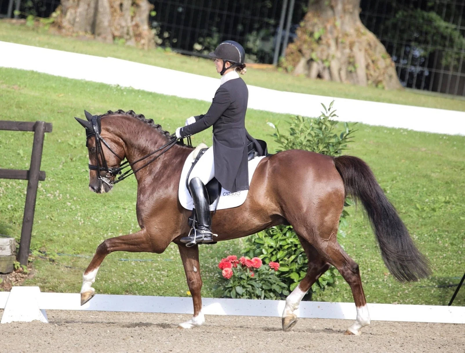 Quarton Inter I.jpeg