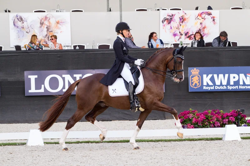 Kirsten Brouwer/Sultan des Paluds