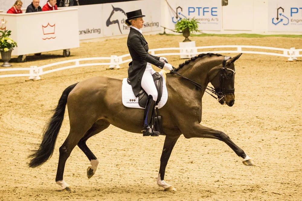 4th Atterupgaards Orthilia - Agnete Kirk Thinggaard DEN. Photo credit H2R