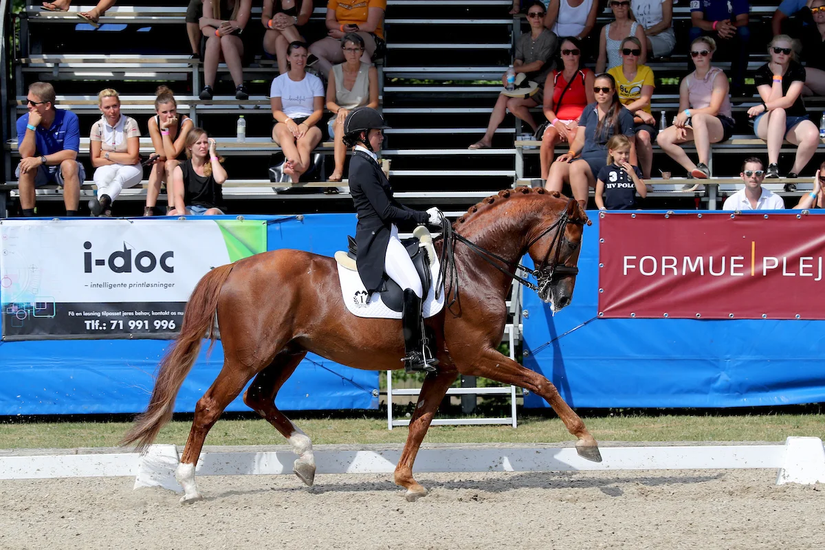 Ludwig der Sonnenkönig og Victoria E. Vallentin