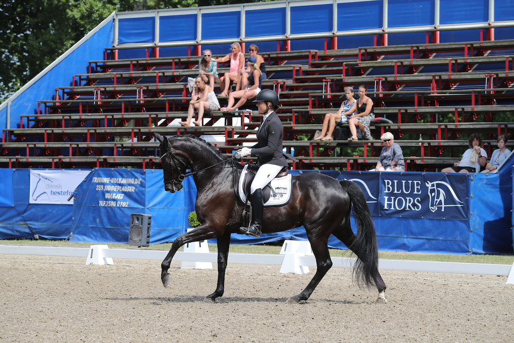 Hevringholms Delaya by ERA Dancing Hit/Hertug. Rider Susanne Barnow