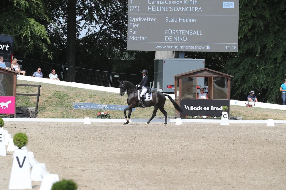 Heiline´s Danciera by Fürstenball/De Niro. Rider Carina Cassøe Krüth