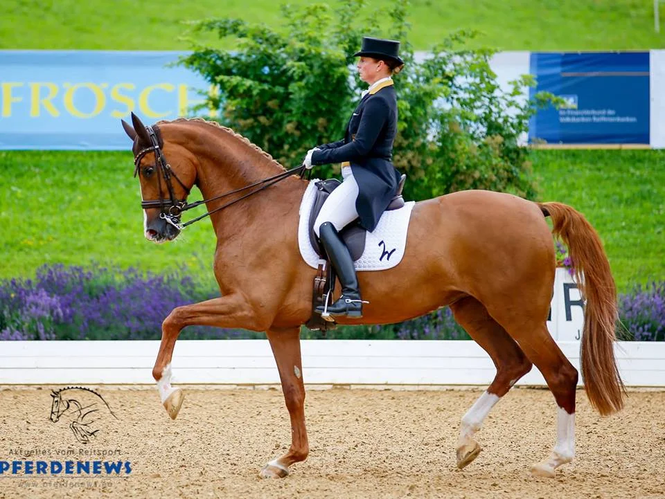 VIDEO - Isabell Werth and Bella Rose of course today's ...