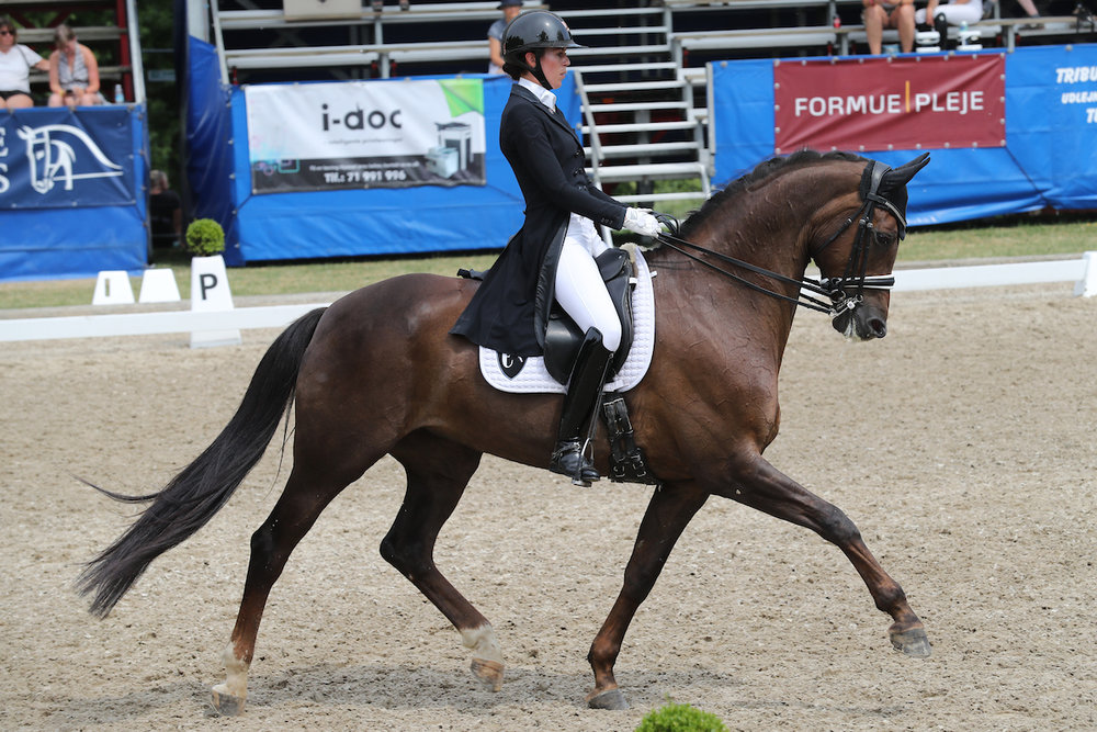 Red Diamant e. Blue Hors Romanov 