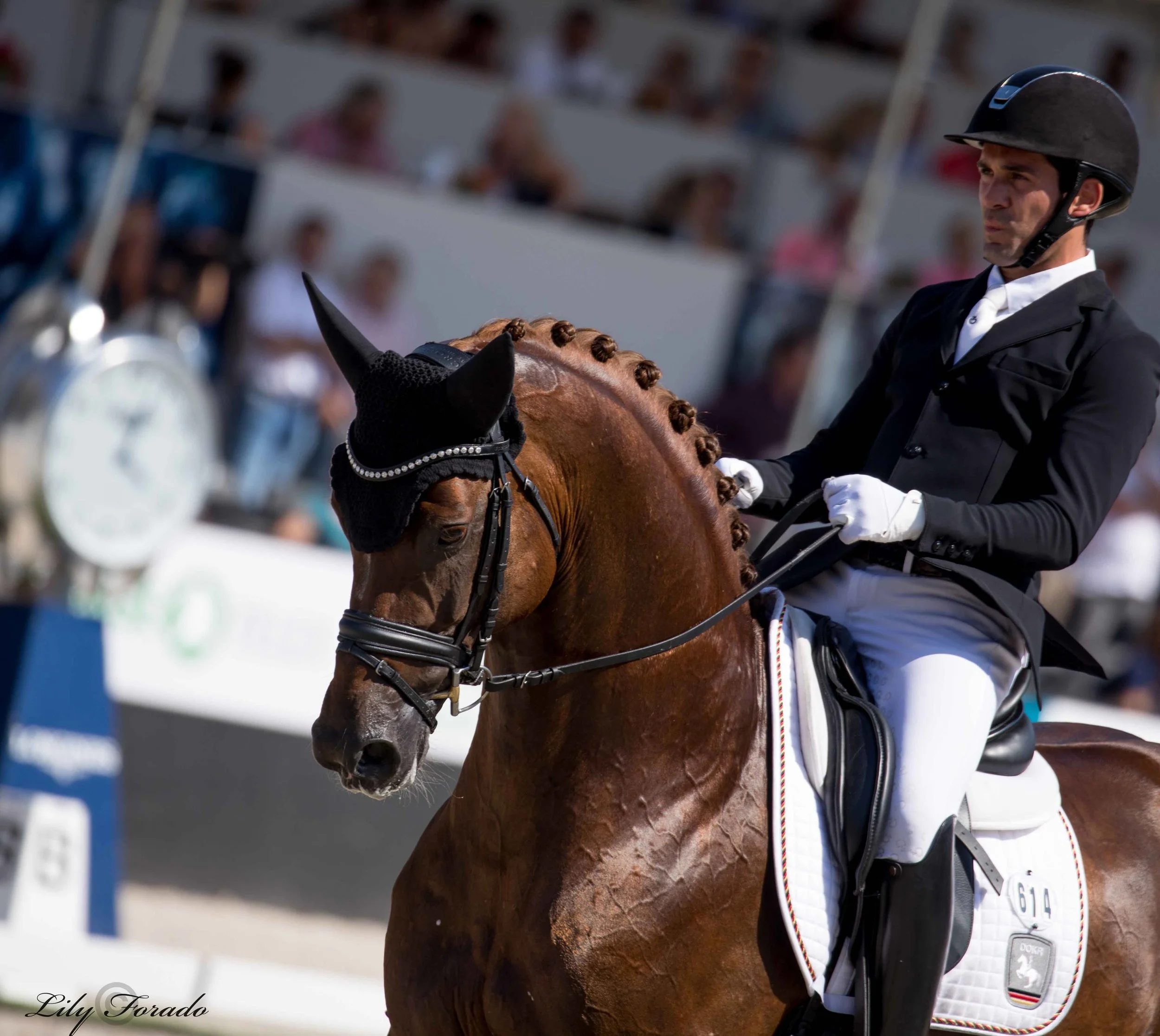 Concentration pure from Severo Jurado Lopez with D´avie - photo credit: Lily Forado
