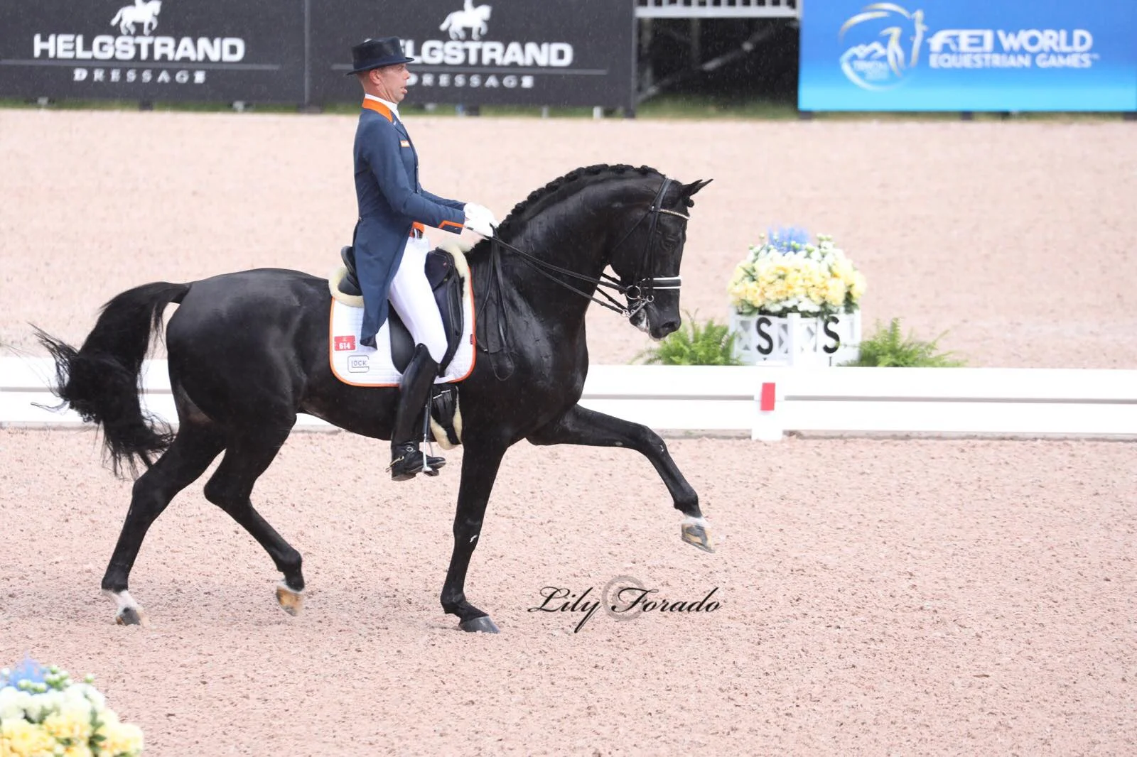 Glock´s Dream Boy with Hans Peter Minderhoud before the rain - photo credit: Lily Forado