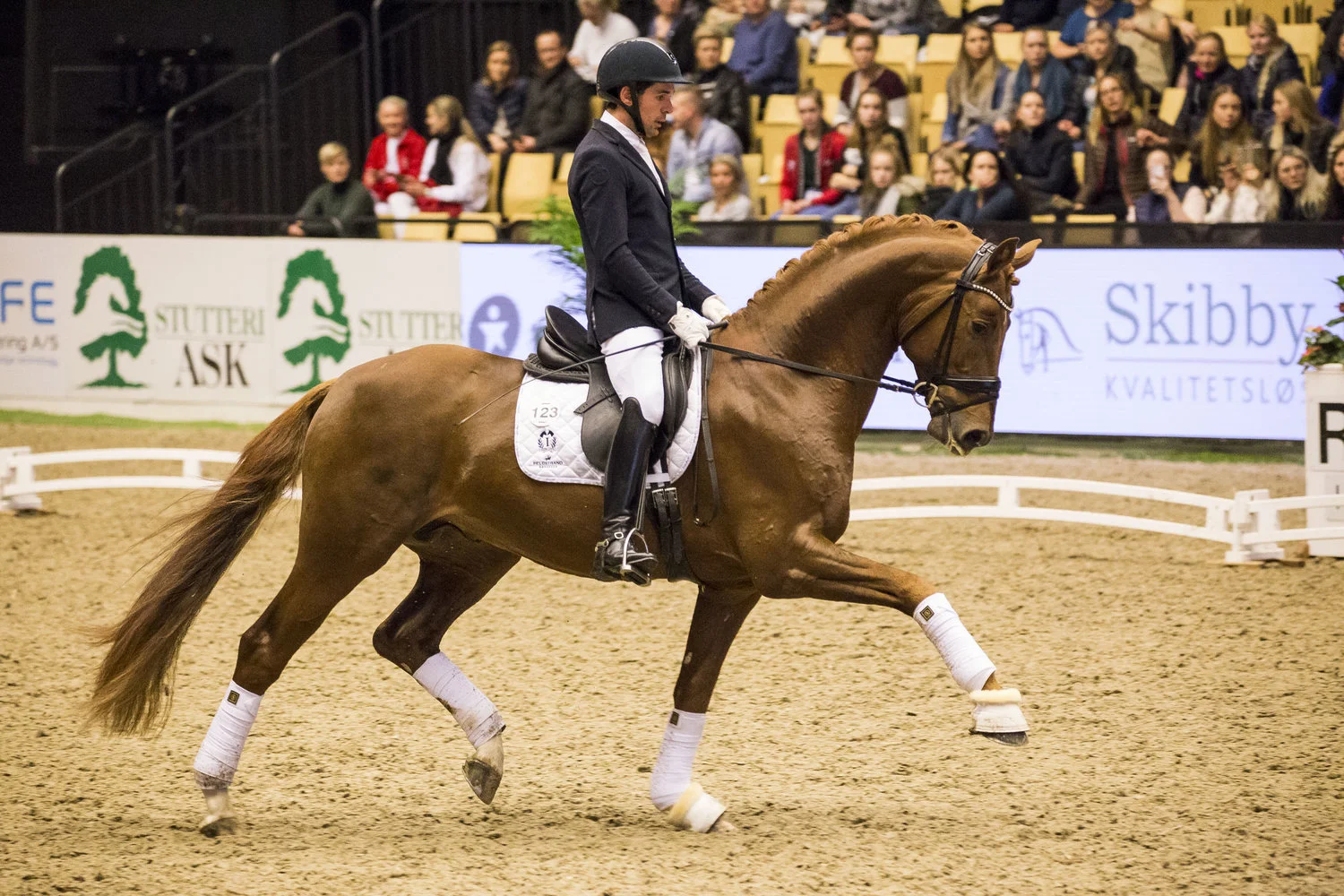 Springbank II VH and Severo Jurado Lopez
