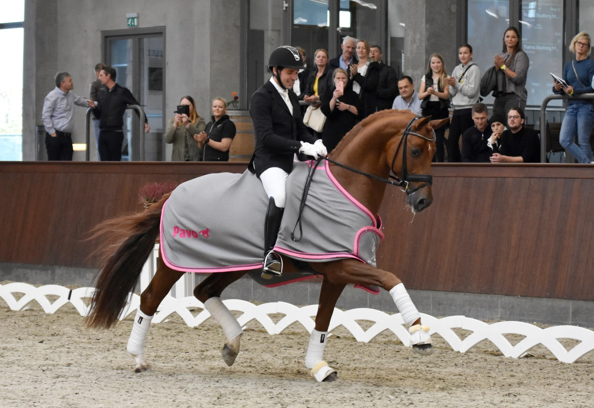 Springbank II VH and Severo Jurado Lopez - photo credit: Helgstrand Dressage/Mia Bach