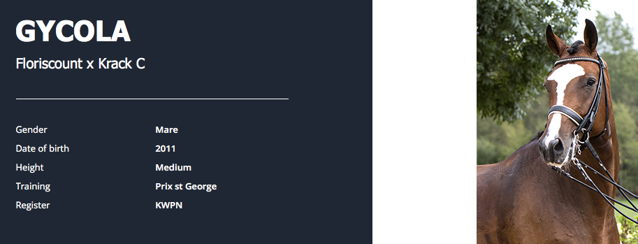 Screen Shot 2018-10-25 at 08.12.04.png