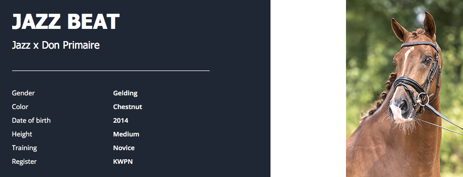 Screen Shot 2018-10-25 at 09.28.49.png