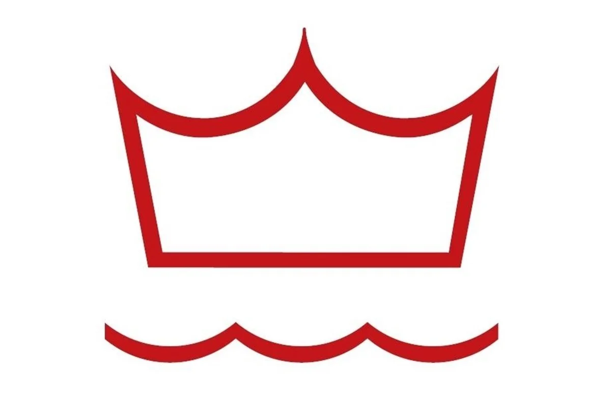 DV LOGO.jpg