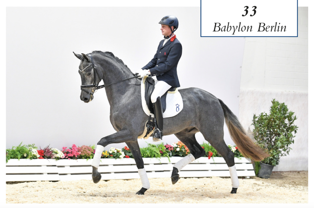 A super model by Bordeaux - Sandro Hit - Donnerschwee (unfortunately without video)