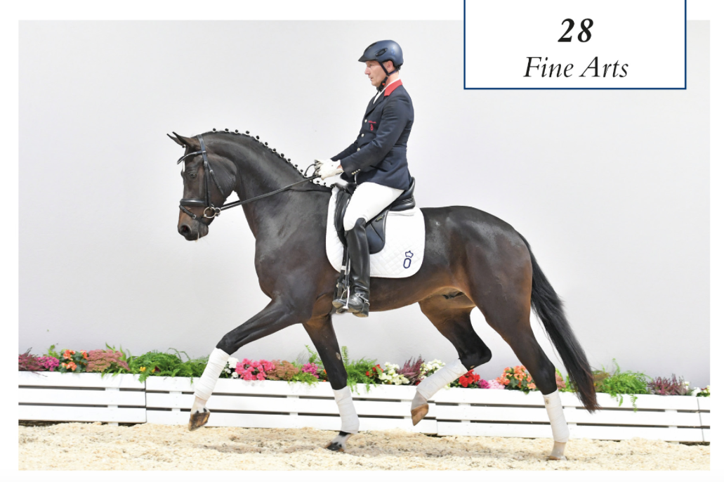 Noble type Fuerst Romancier - Heraldik xx - Bonjour (unfortunately without video)