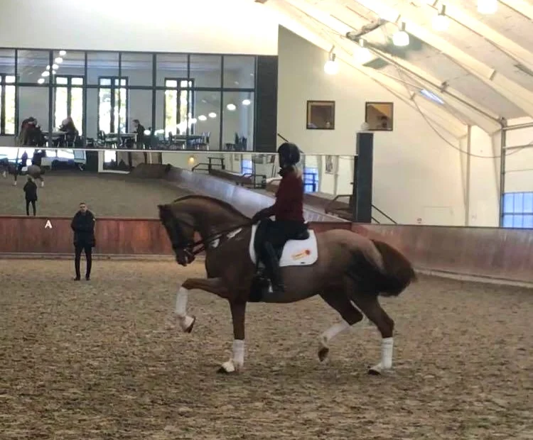 Charlotte Heering trying Badinda Altena at Helgstrand Dressage (captured from videoclip) - private photo.