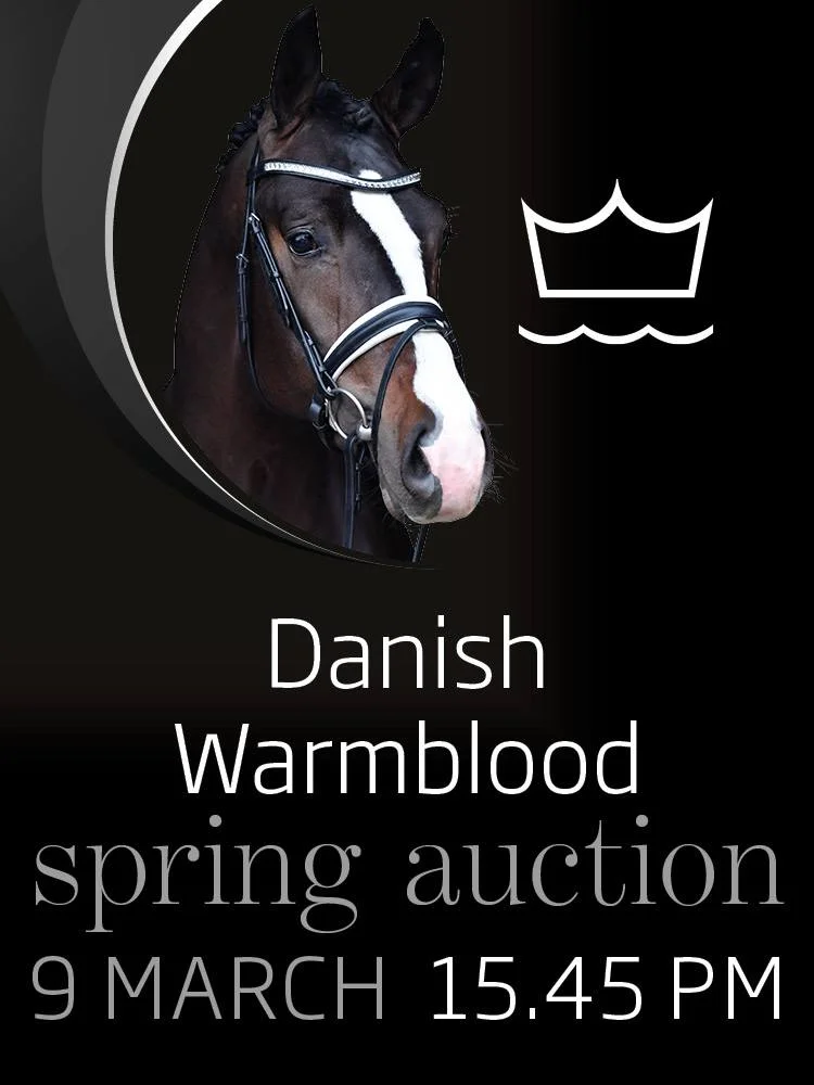 Spring Auction .jpg