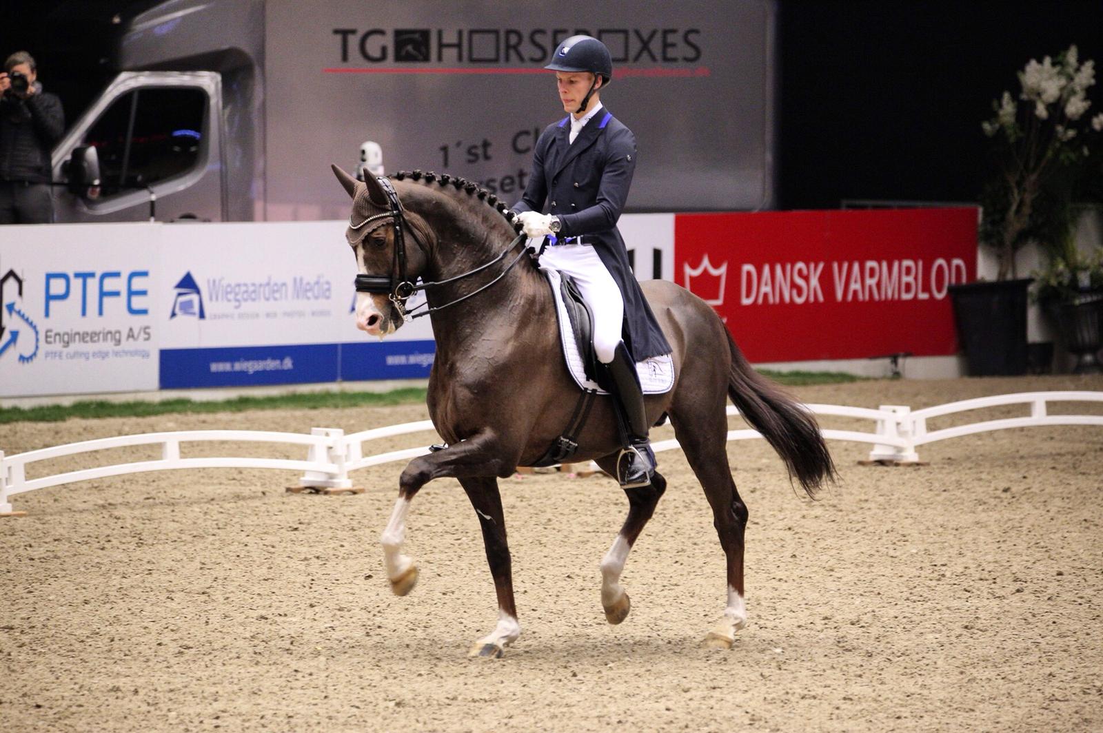 Blue Hors Don Olymbrio/Daniel Bachmann Andersen
