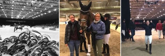 Instagram @thehorse2rider