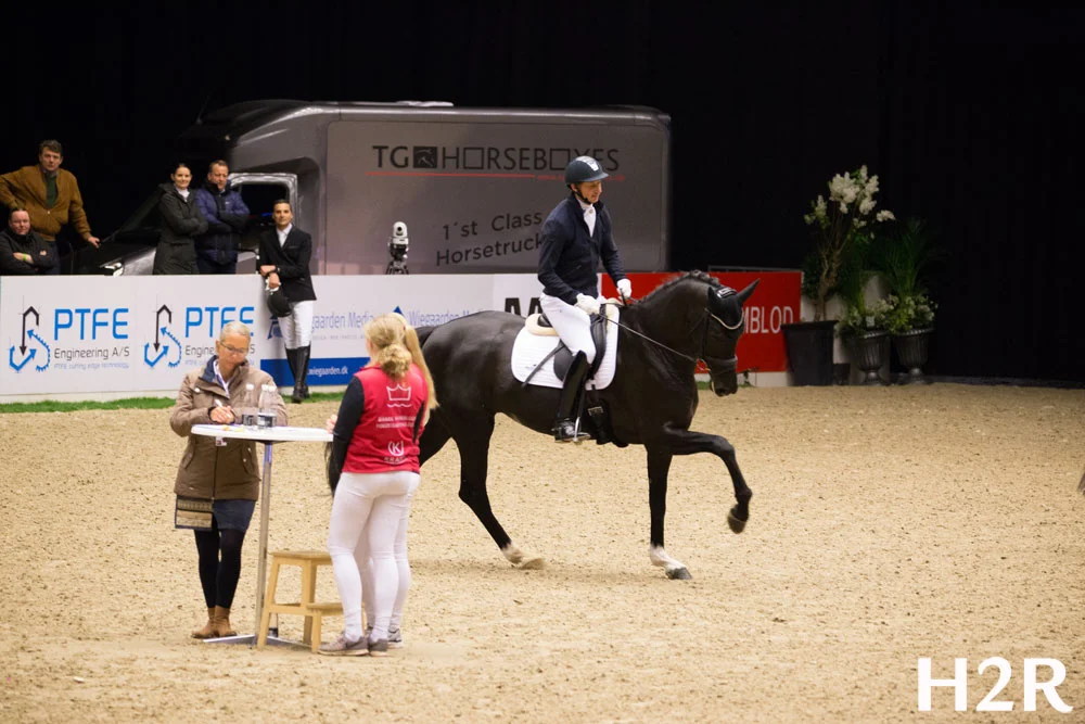 Queenspark Wendy by Sezuan / Blue Hors Soprano, bred by Kurt Gosmer, owned by Helgstrand Dressage and Chateau de Fontaine, and ridden by Andreas Helgstrand to his 7th victory in Danish Warmblood Young Horse Championship.
