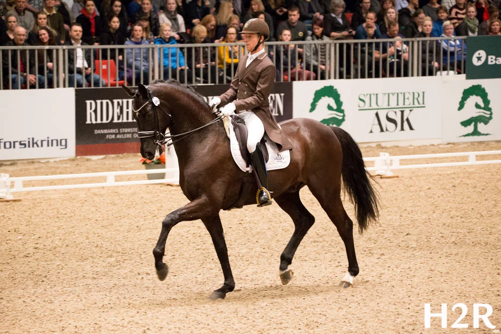 Ellegaardens San Droneur & Jacob Nørby Sørensen