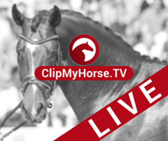 clipmyhorse.live.s240x240.png