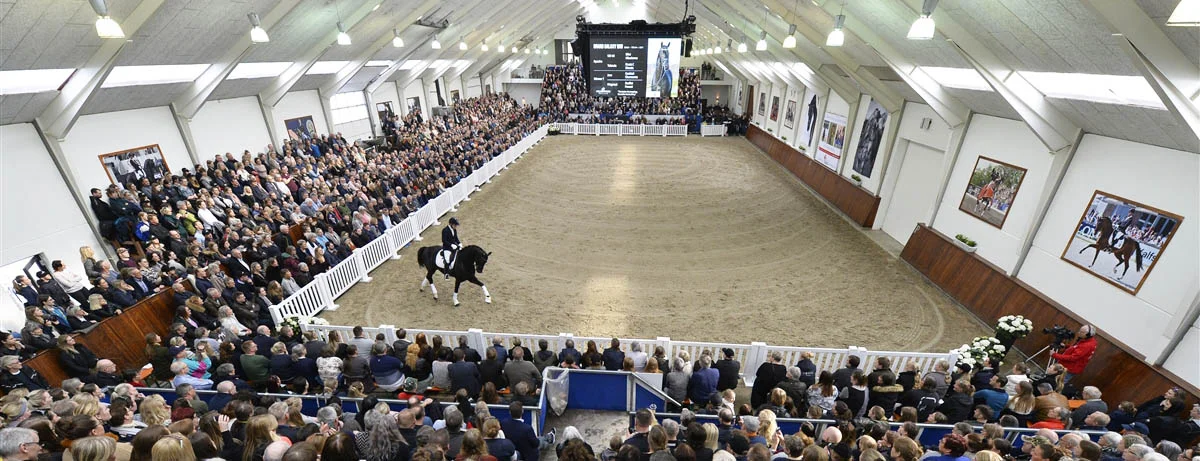 aabenthus-helgstranddressage.jpg