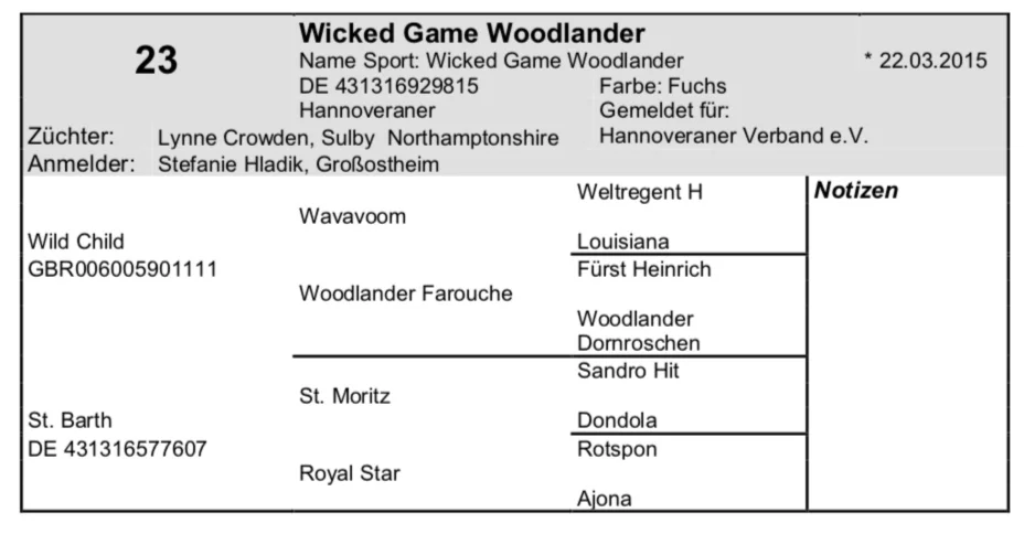 Screen+Shot+2019-04-16+at+20.02.54.jpg