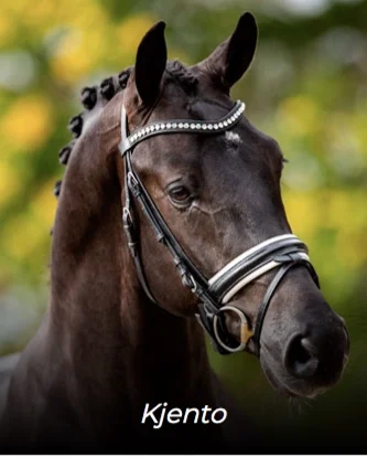 Screen Shot 2019-04-21 at 18.10.30.png